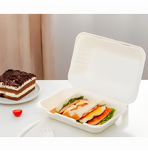 Sugarcane/ Bagasse Food Containers